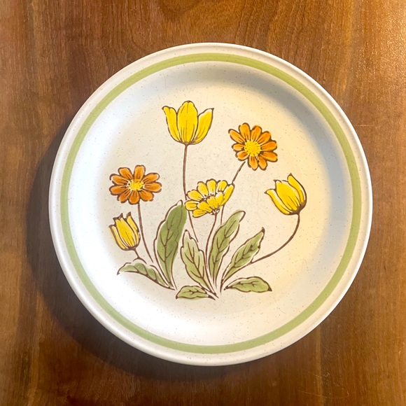 Two Vintage Country Casual Stoneware Sunnyvale 10 1/2" Dinner Plates Japan - Picture 3 of 6